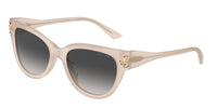 Jimmy Choo JC5018U 50258G