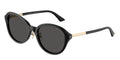 Jimmy Choo JC5044D 500087