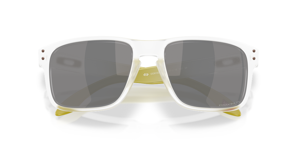Oakley OO9102 HOLBROOK 9102AP