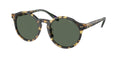 Polo Ralph Lauren PH4204U 500471