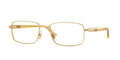 Persol PO1029V 1129