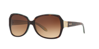 Ralph Lauren RA5138 601/13