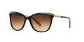 Ralph Lauren RA5203 109013