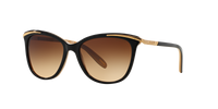 Ralph Lauren RA5203 109013