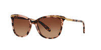 Ralph Lauren RA5203 1463T5