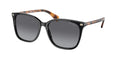 Ralph Lauren RA5293 VVCV 6037T3