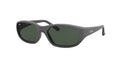 Ray - Ban RB2016 DADDY-O W2578