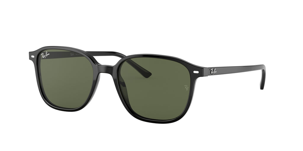 Ray - Ban RB2193 LEONARD 901/31
