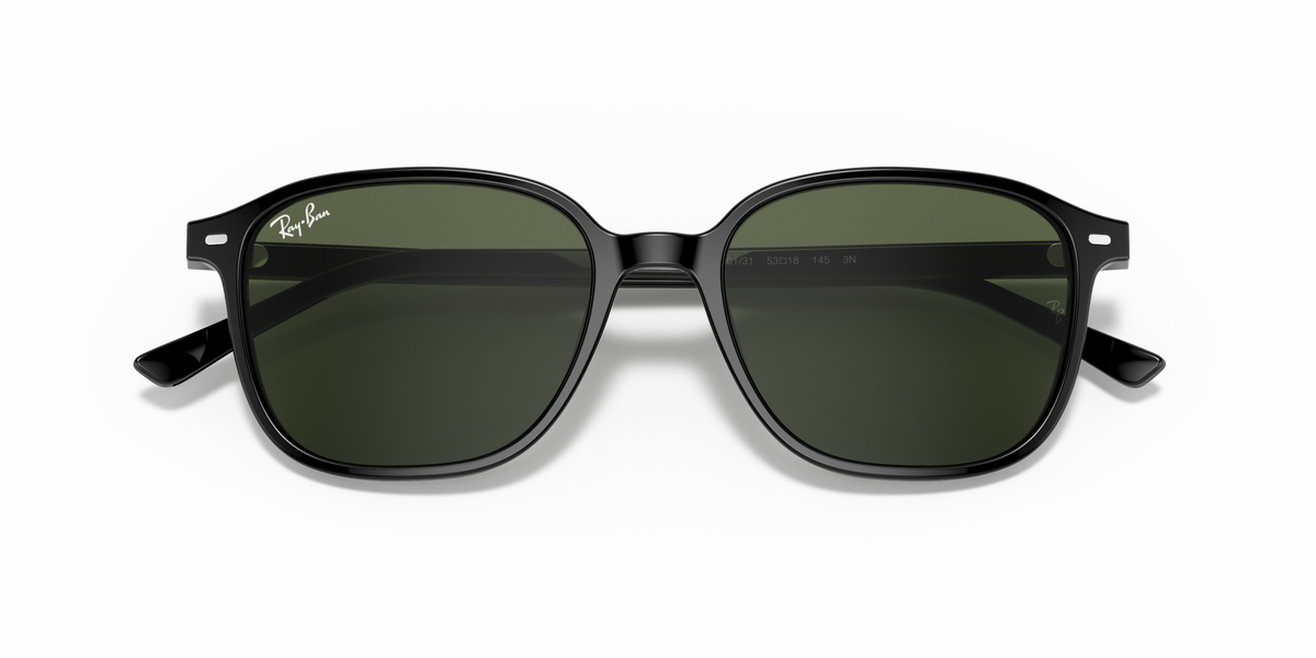 Ray - Ban RB2193 LEONARD 901/31