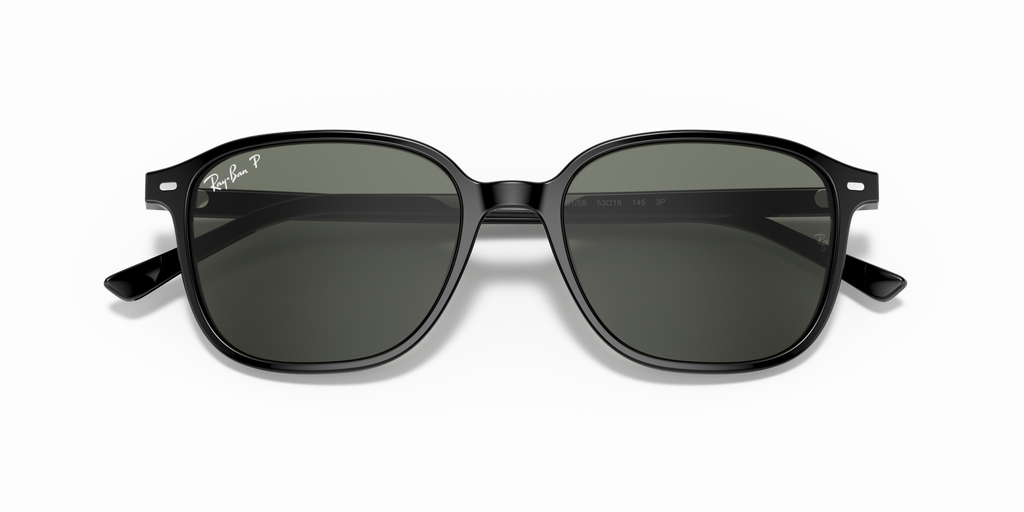 Ray - Ban RB2193 LEONARD 901/58