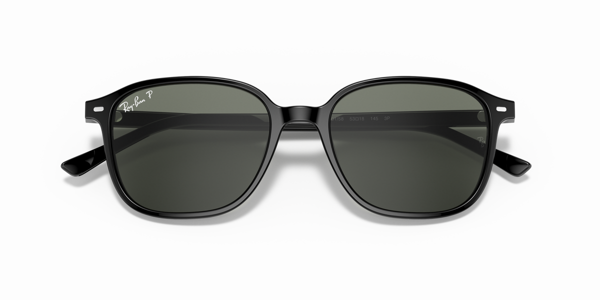 Ray - Ban RB2193 LEONARD 901/58