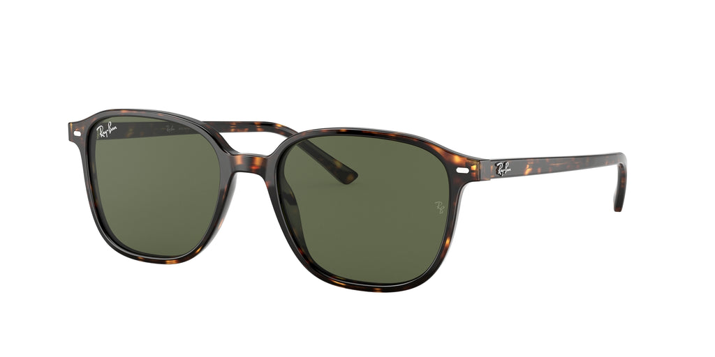 Ray - Ban RB2193 LEONARD 902/31
