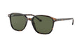 Ray - Ban RB2193 LEONARD 902/31