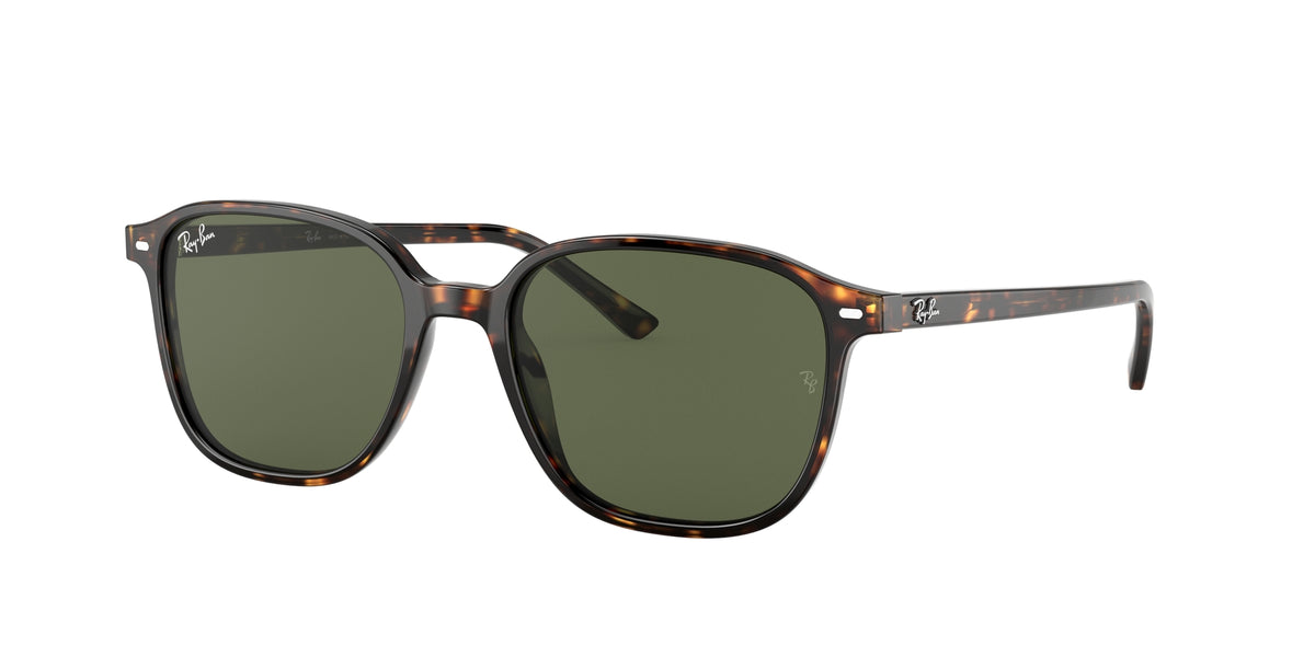 Ray - Ban RB2193 LEONARD 902/31