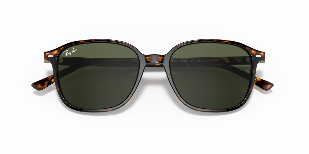 Ray - Ban RB2193 LEONARD 902/31