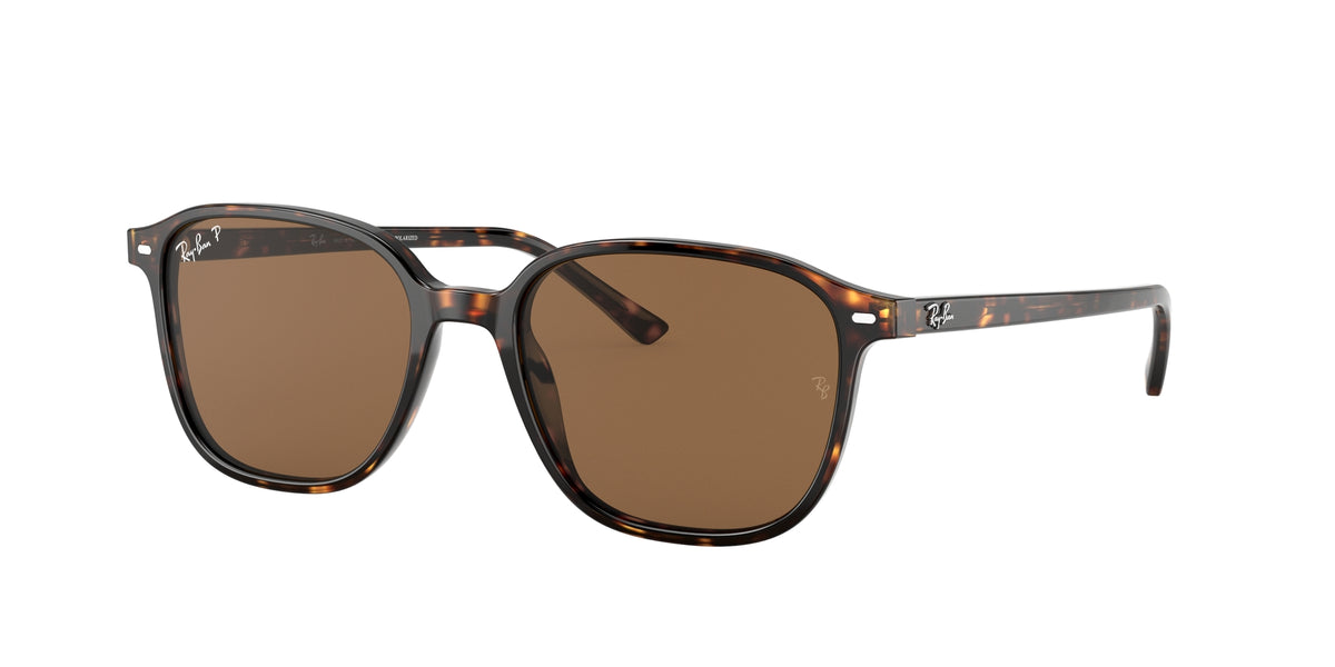 Ray - Ban RB2193 LEONARD 902/57