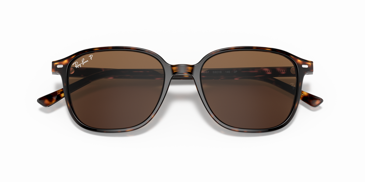 Ray - Ban RB2193 LEONARD 902/57