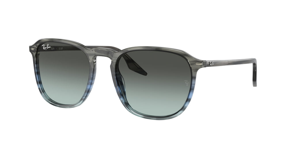 Ray - Ban RB2203 1391GK