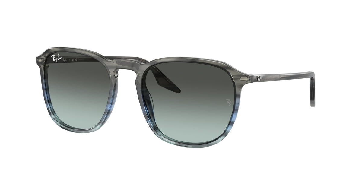 Ray - Ban RB2203 1391GK