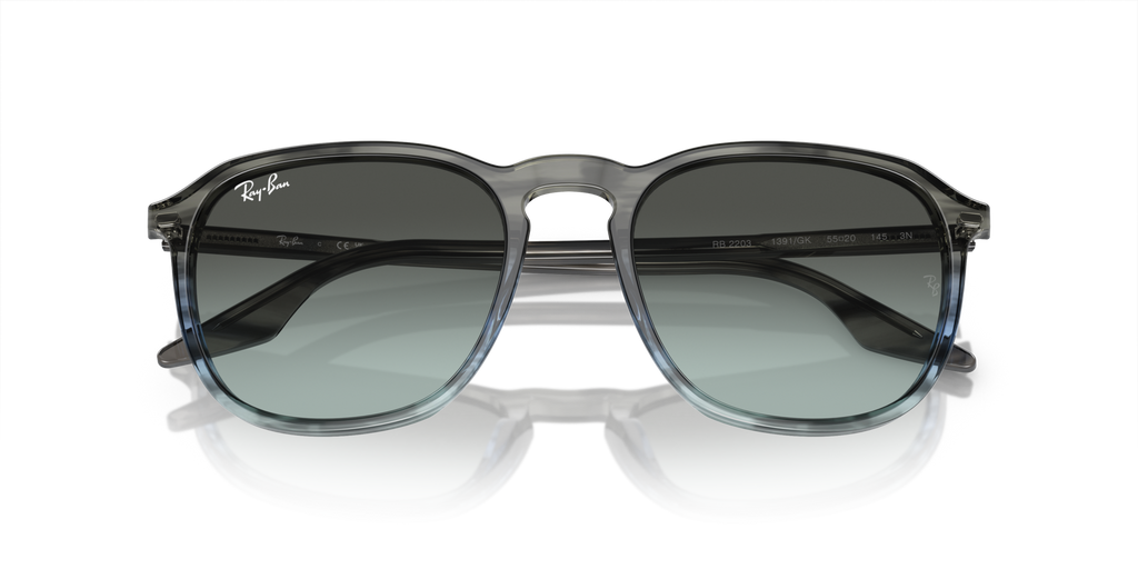 Ray - Ban RB2203 1391GK