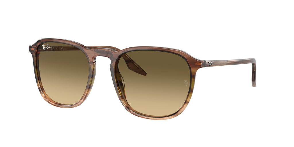 Ray - Ban RB2203 13920A