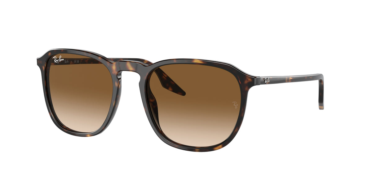 Ray - Ban RB2203 902/51