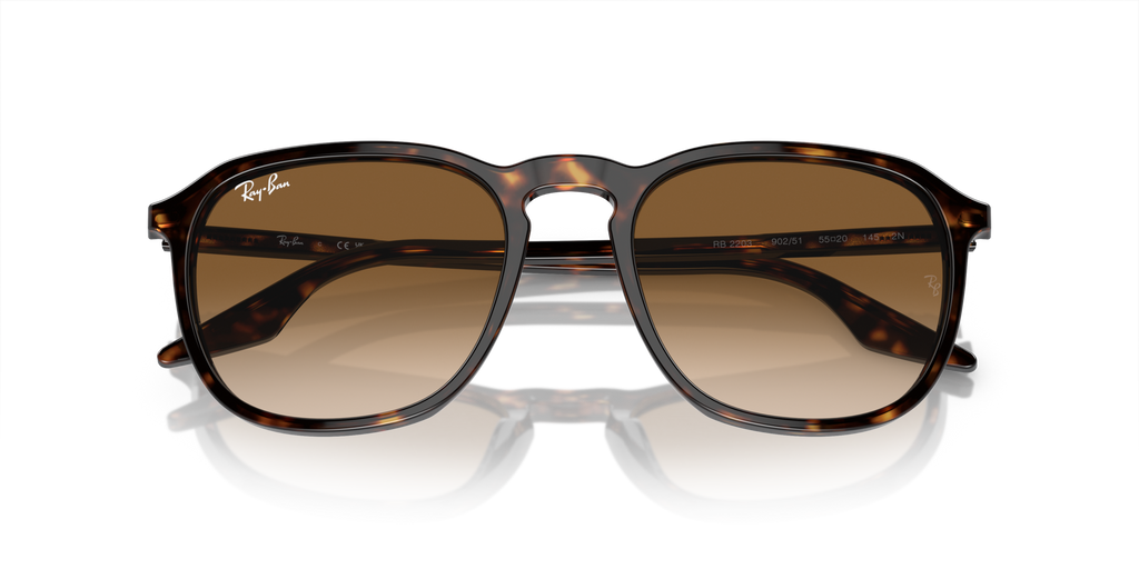 Ray - Ban RB2203 902/51