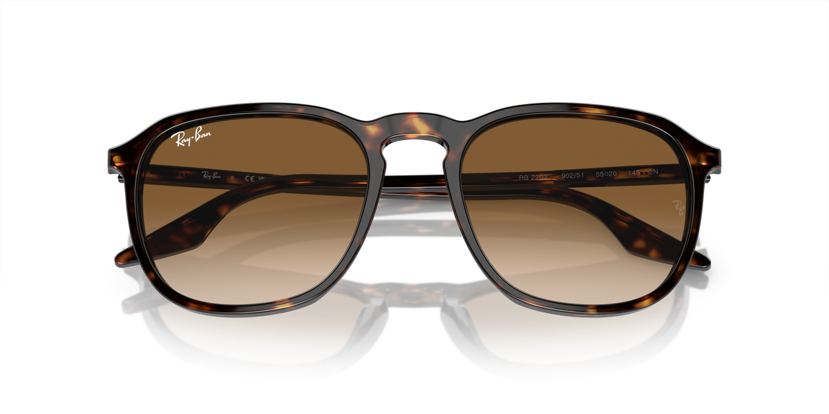Ray - Ban RB2203 902/51