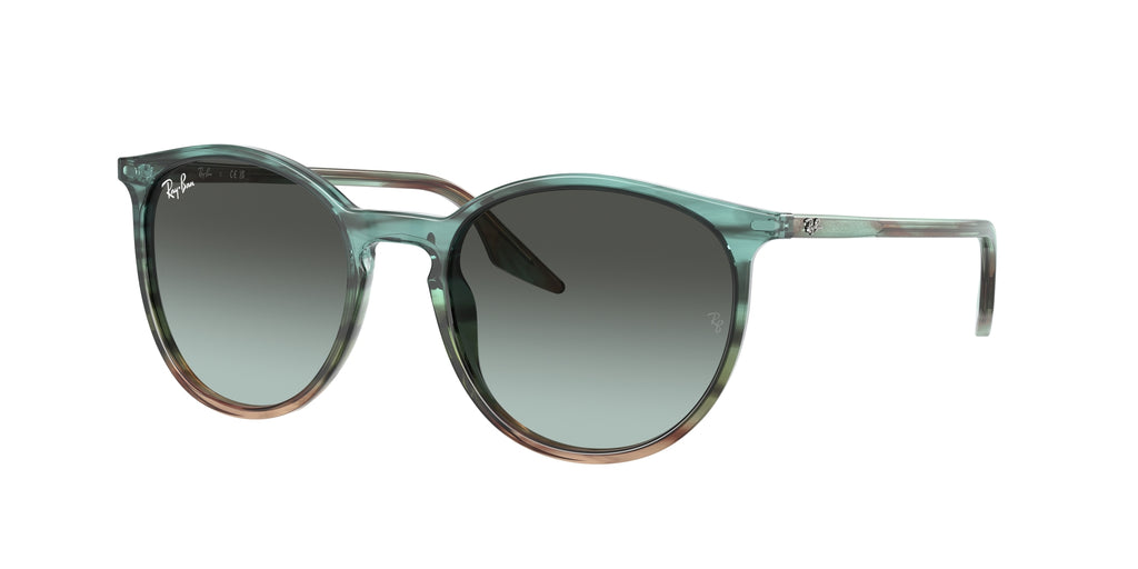Ray - Ban RB2204 1394GK