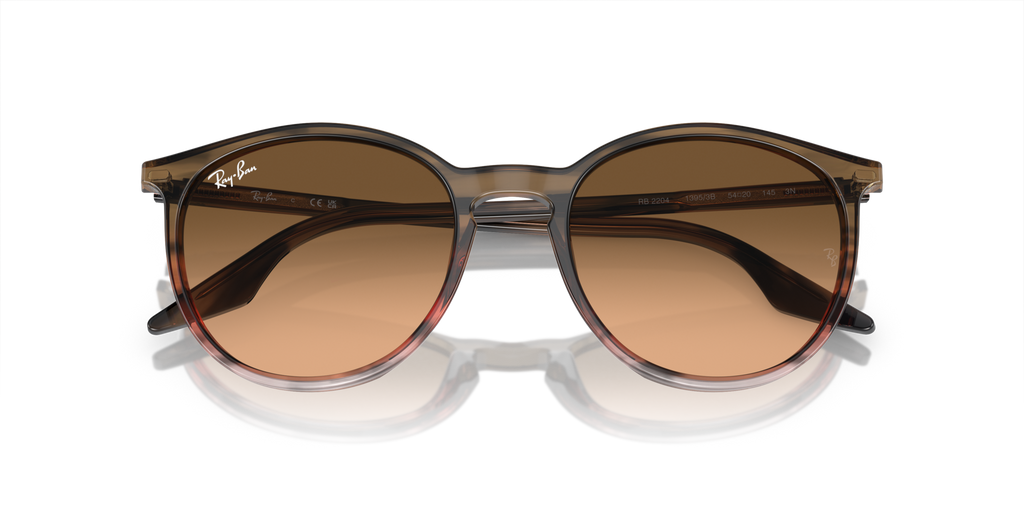 Ray - Ban RB2204 13953B