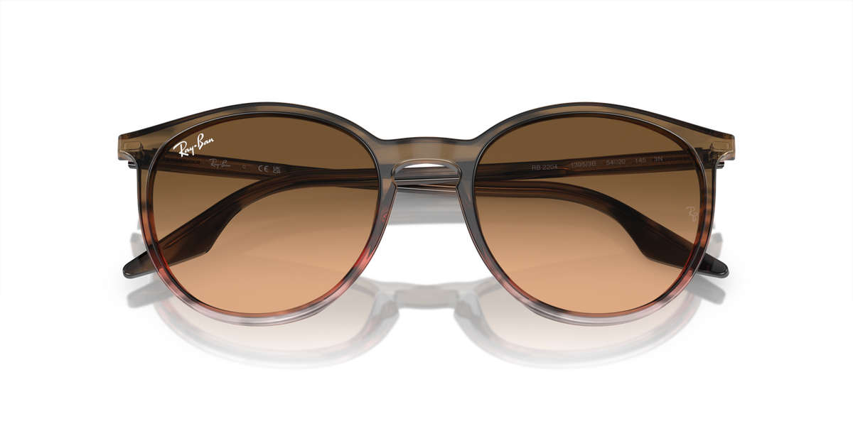 Ray - Ban RB2204 13953B