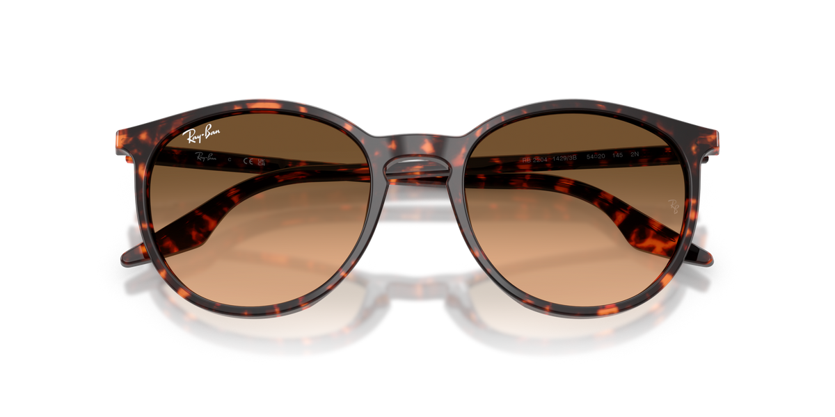 Ray - Ban RB2204 14293B