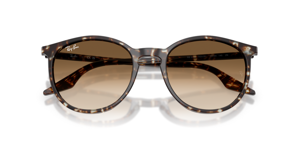 Ray - Ban RB2204 143151