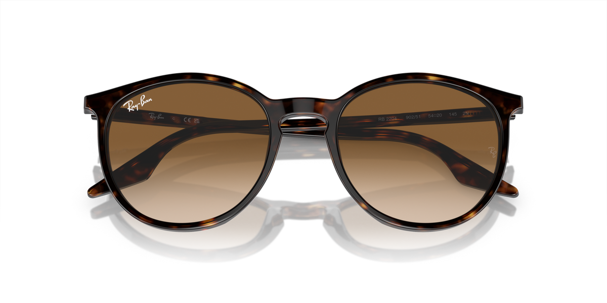 Ray - Ban RB2204 902/51