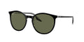 Ray - Ban RB2204 919/58
