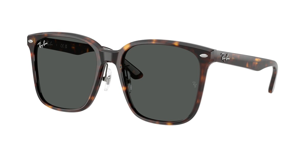 Ray - Ban RB2206D 710/87