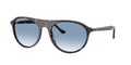 Ray - Ban RB2215 14303F