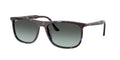 Ray - Ban RB2216 1430GK