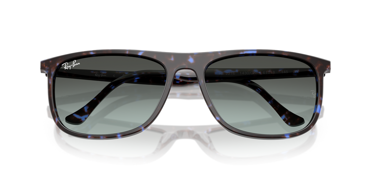 Ray - Ban RB2216 1430GK