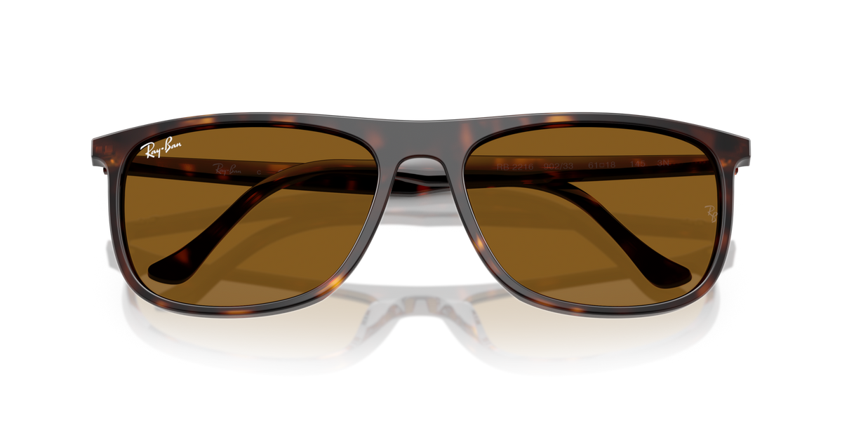 Ray - Ban RB2216 902/33