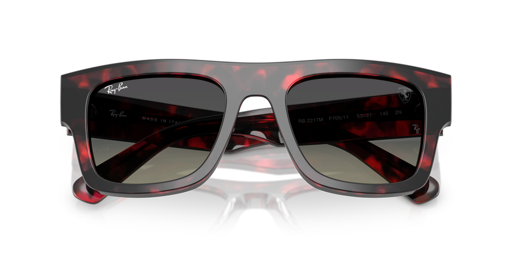 Ray - Ban RB2217M F70511