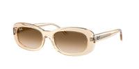 Ray - Ban RB2221 690251