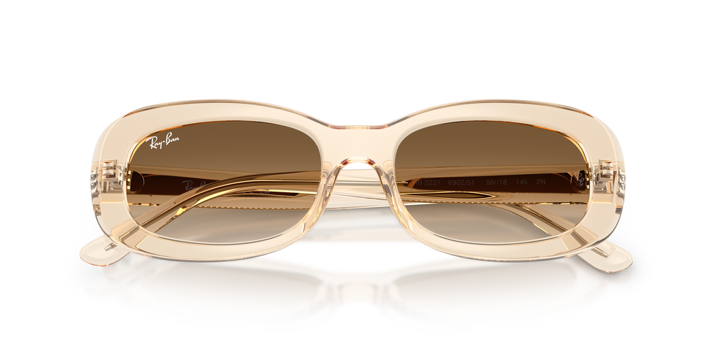 Ray - Ban RB2221 690251
