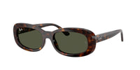 Ray - Ban RB2221 902/31