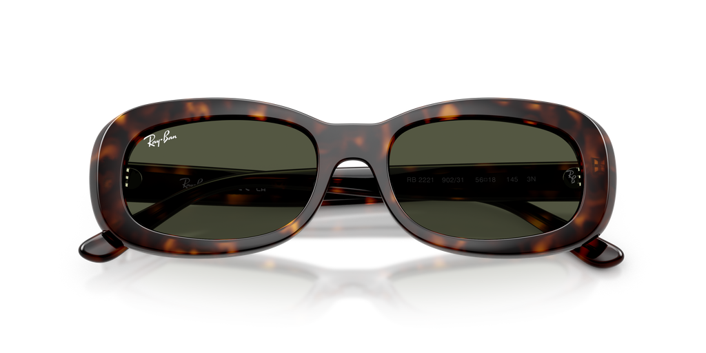 Ray - Ban RB2221 902/31