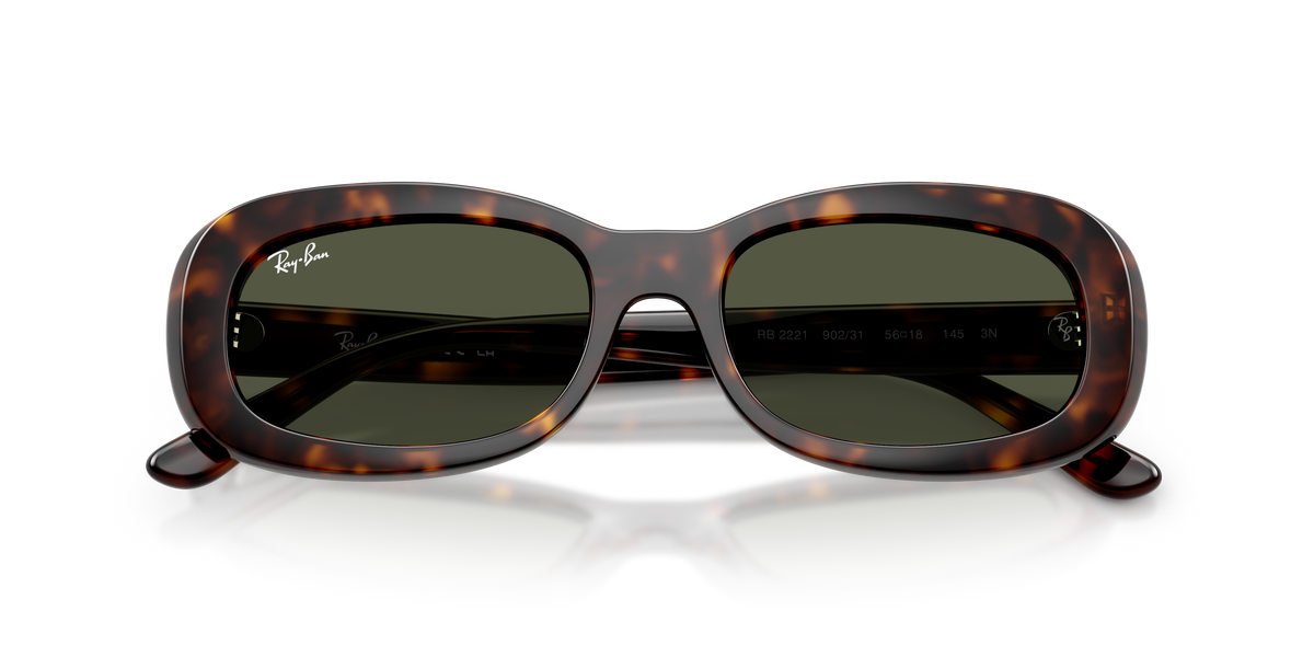 Ray - Ban RB2221 902/31