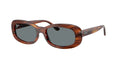 Ray - Ban RB2221 954/62