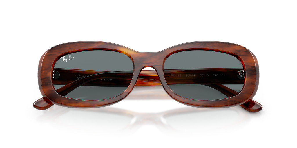 Ray - Ban RB2221 954/62