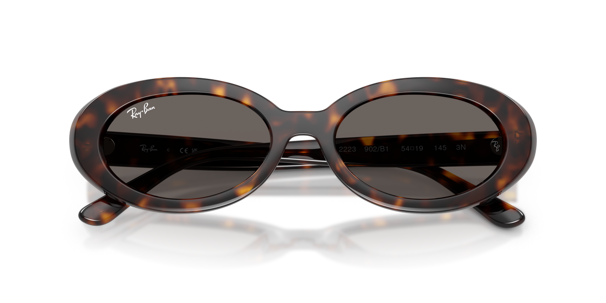 Ray - Ban RB2223 902/B1