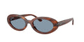 Ray - Ban RB2223 954/56